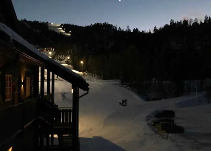 Apartment Uvdal - In-ski Out